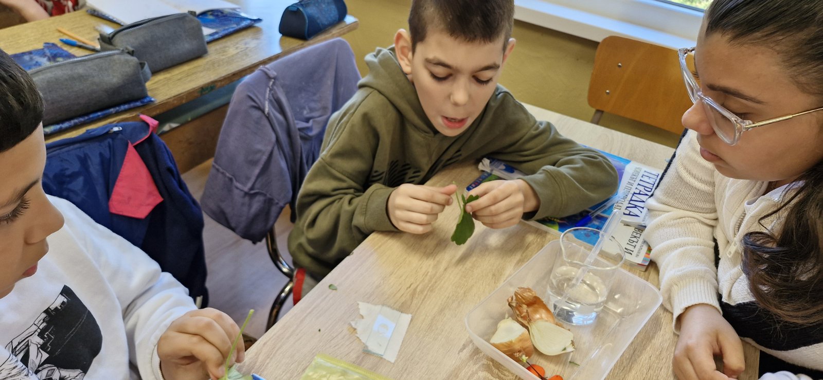 Лабораторен урок по Човекът и природата