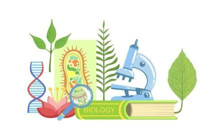 ГОРДОСТ ЗА ЗАИМОВЦИ