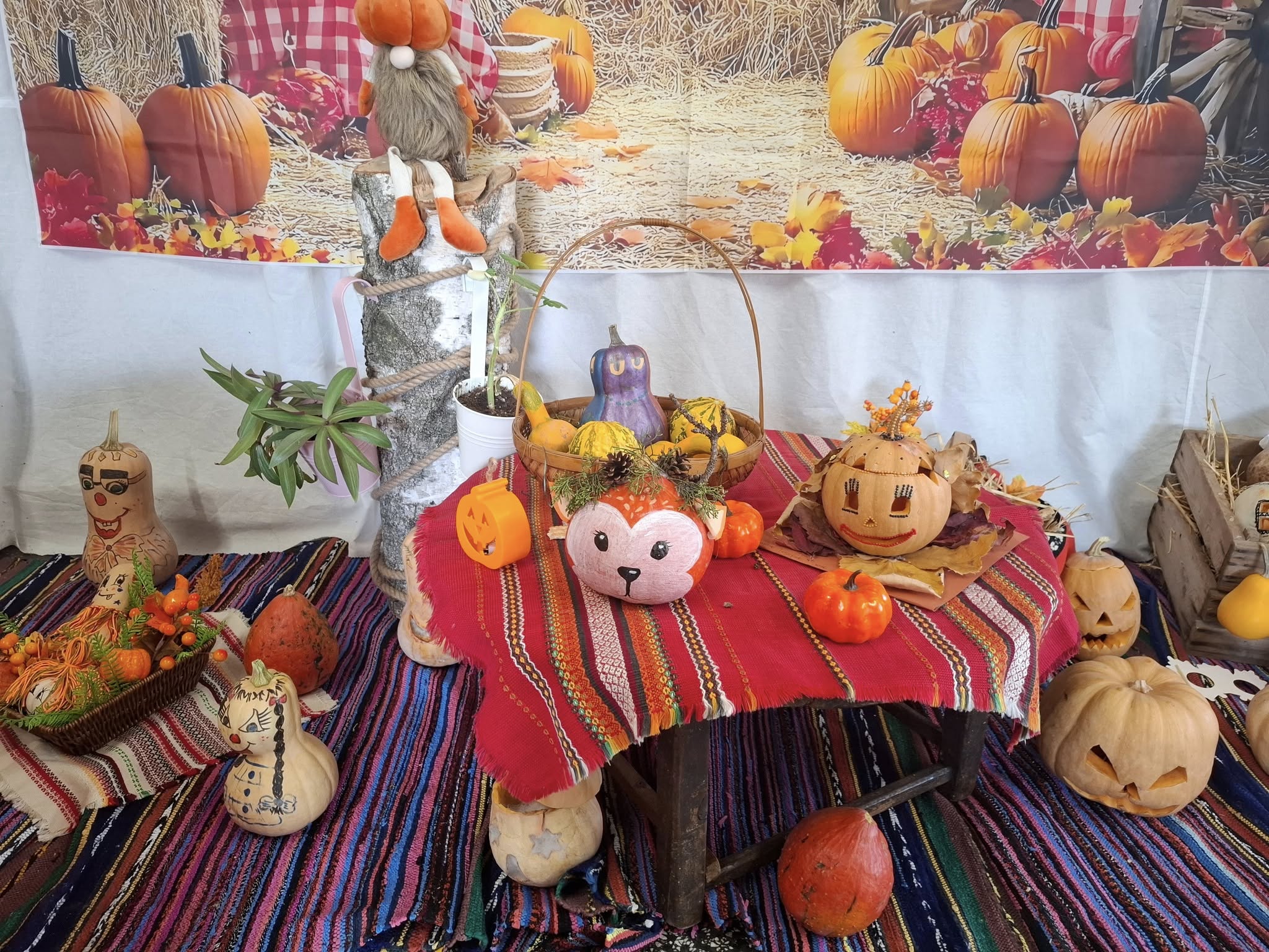 "Царица Тиква"